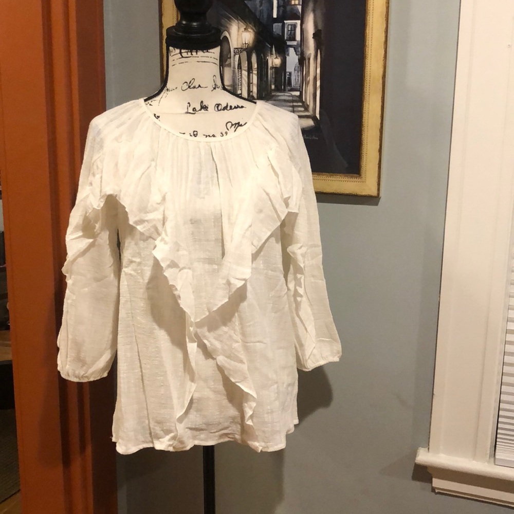 Spring Haze Cottage-core Gauzy Ruffled Top (S)